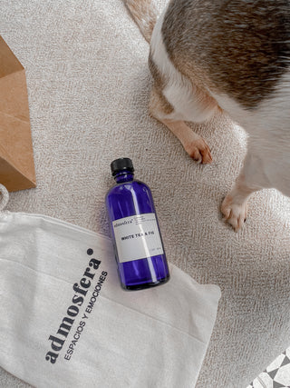 Dogmoms con estilo: la guía definitiva para un hogar aromático y petfriendly