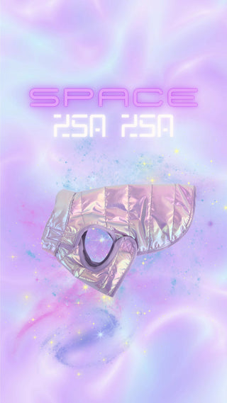 SPACE ZSA ZSA