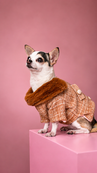 Abrigo Caramel cashmere
