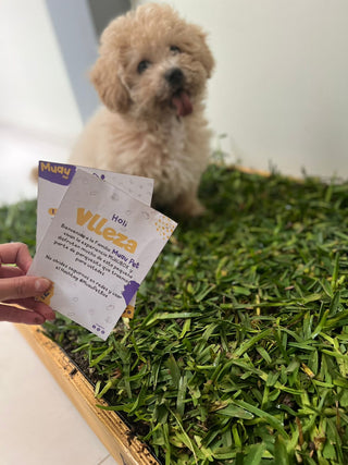 MUAUBOX DELUXE L — Sanitario Natural para Mascotas (81x53 cm)