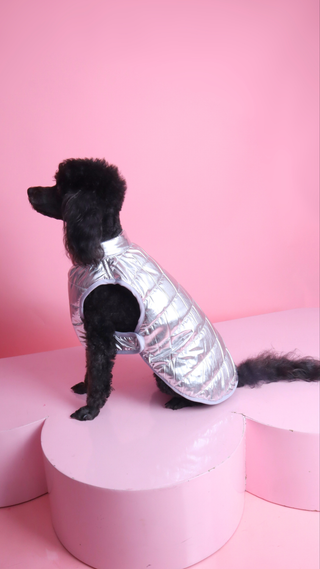 Chaleco Silver