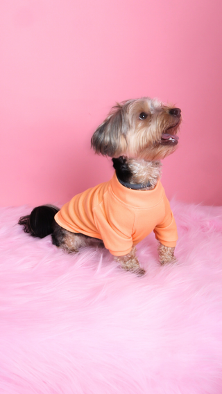 Naranja Basic