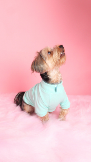 Menta Basic