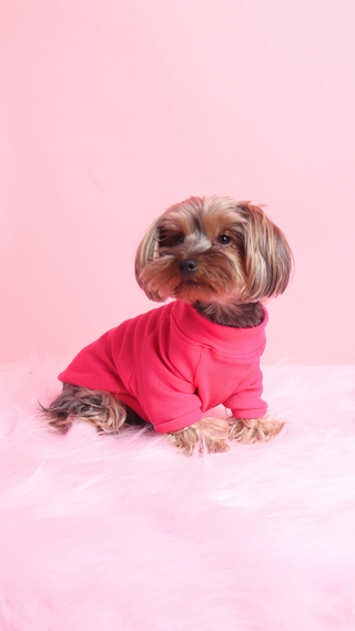 Fucsia Basic