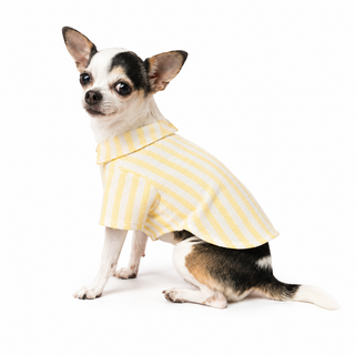 CAMISA SUNSHINE