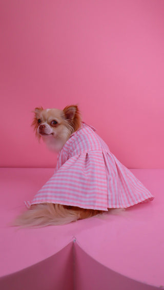 Vestido Picnic Rosado