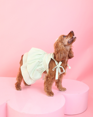 Vestido mindy