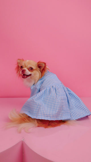 Vestido Picnic Celeste