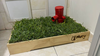 Griffo MUAU – Marcador de Orina para Perros (Accesorio para MUAUBOX)