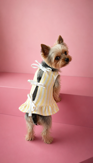 Vestido sunshine lazos