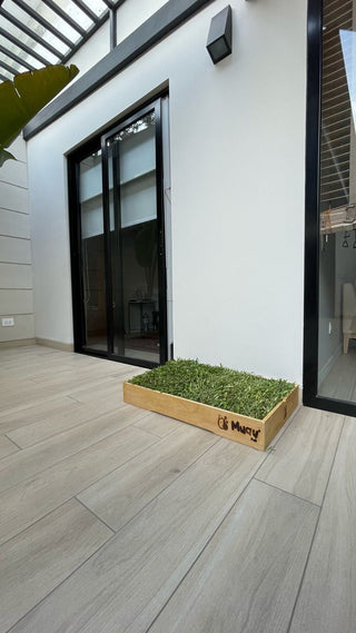 MUAUBOX DELUXE L — Sanitario Natural para Mascotas (81x53 cm)