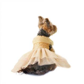 Vestido Golden Year