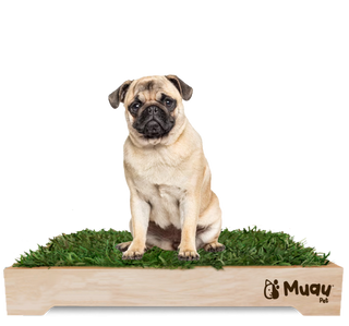 MUAUBOX DELUXE L — Sanitario Natural para Mascotas (81x53 cm)