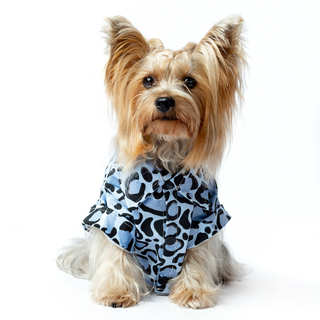 Chaqueta Blue Glam