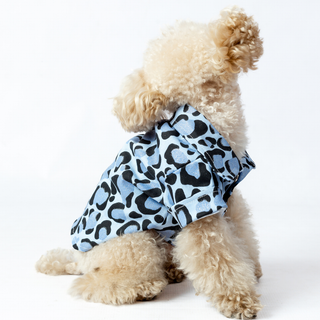 Chaqueta Blue Glam