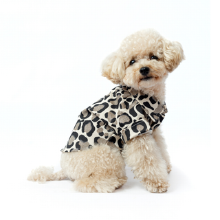 Chaqueta Brown Glam