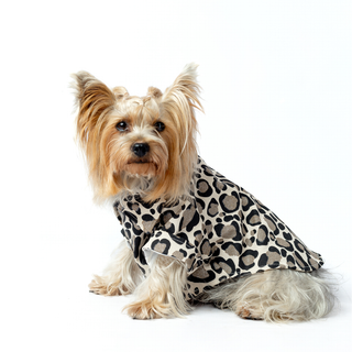 Chaqueta Brown Glam