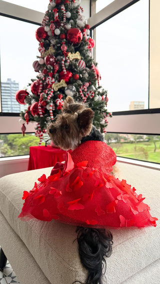 Vestido Red Gala Dress