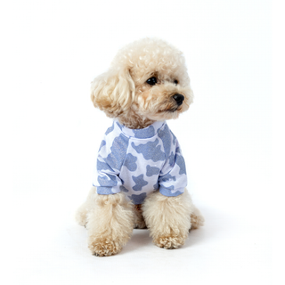 Polo Blue Shimmer