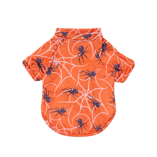 Polo Spiders