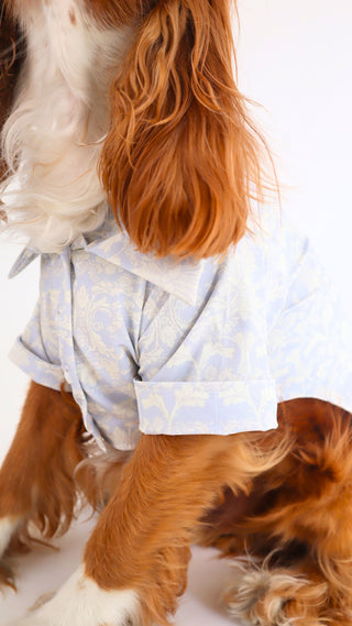 Camisa croquette