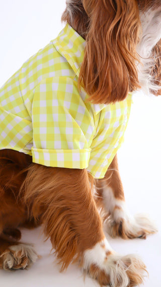 Camisa cuadros amarillos