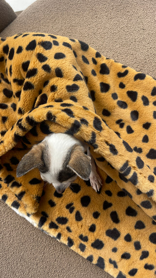 MANTA BAMBI
