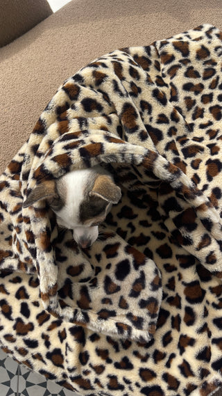 MANTA LEOPARD CLASSIC