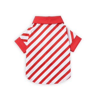 Camisa Peppermint