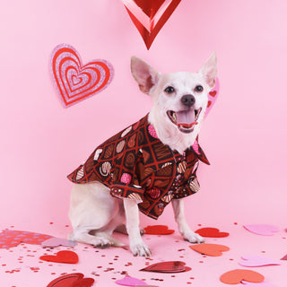Camisa - Chocolates