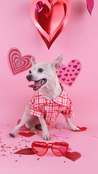 Camisa - Cuadros Valentín