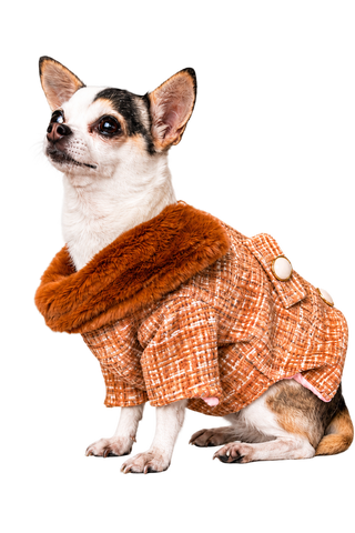 Abrigo Caramel cashmere